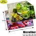 Microfiber Cleaning Cloths for Glasses - Pack of 2 with Fruit Motif | 30x40cm | Streak-Free & Soft - Buy Online on GoSupps.com