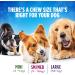 DentaLife Daily Oral Care Dog Treats for Small & Medium Breed Dogs - 507 g Pouch (1 Pack) 507 g (Pack of 1) - Buy Online on GoSupps.com