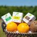 Dr Organic Tea Tree & Lemon Shampoo Bar Purifying Oily Roots & Scalp NEW Plastic Free Natural Vegan Cruelty Free Paraben & SLS Free Organic 75g - Buy Online on GoSupps.com