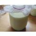 Buy 10g Organic Milk Kefir Grains | Tibetan Mushrooms & Snow Lotus - Premium Quality for Gut Health - Buy Online on GoSupps.com