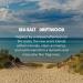 Huron Eau de Parfum - Everyday Fragrance for Men - Clean Aromatic Notes of Mandarin Cardamom Blue Sage Lavender & Ocean Air - Long Lasting Men's Cologne - Safe Clean Ingredients - 1.7 Fl. Oz. Sea Salt + Driftwood - Buy Online on GoSupps.com
