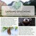Lapsang Souchong Smoked - Premium Black Loose Leaf Tea (Lapsang Souchong 175g) Lapsang Souchong 175g - Buy Online on GoSupps.com