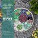 RIFNY Decorative Polished Rocks 0.3 Gravel Crushed Crystal for Plants - 1.5 LB Mixed Color - Aquarium Decor, Vase Filler, DIY Craft - Buy Online on GoSupps.com