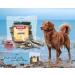 DIBO Salmon Skin Treats for Dogs | 50g Bag | Healthy Snack Between Meals - Buy Online on GoSupps.com