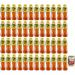 Italian Gourmet E.R. Fuze Tea Pack of 48 Disposable PET Bottles 400ml + 400g