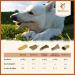 Wildfang Coffee Wood Chew Toy for Dogs & Puppies - 100% Natural Durable Splinter-Free Perfect for Pets Up to 15 kg - Buy Online on GoSupps.com