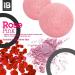 Invisible Beast Natural Konjac Facial Sponge Set - Gentle Exfoliating Skincare Tool for Acne-Prone, Oily, Dry, Sensitive Skin - Activated Charcoal and Rose - 2pc Organic Set - Buy Online on GoSupps.com