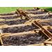 Organic Bourbon Vanilla Powder 100g from Madagascar - Aromatic Additive-Free Eco-Friendly Packaging - Buy Online on GoSupps.com