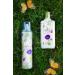 Wildflower Collection Body Mist and Lotion Set (Lavender Love) - Buy Online on GoSupps.com