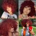Red Afro Wig - Short Curly Wig with Bangs for Black Women | Synthetic Full Wig for International Shipping - Buy Online on GoSupps.com