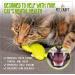Pet Craft Supply Cactus Interactive Cat Toy - Bite Resistant Natural Rubber with Catnip & Silvervine Bags - Buy Online on GoSupps.com