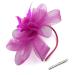 Hot Pink Fascinator Ladies Feather Beak Clip Fascinator / Headband Weddings Races Royal Ascot Hair Piece