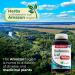 FITO MEDIC S Lab Hyaluronic Acid Capsules - 1200 mg 180 Capsules for Skin Hydration Joint Support & Antioxidant - Ultra High Absorption International Shipping Available - Buy Online on GoSupps.com