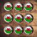 48 Welsh Dragon Cupcake Toppers Edible Welsh Flag Cupcake Decorations St Davids Day Decorations Rugby Cake Decorations Dragon Cake Topper Rugby Cake Topper Daffodil Decorations Welsh Bunting - Buy Online on GoSupps.com