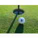 Bird Dog Alpha Premium Golf Balls - One Dozen | High-Quality Golf Balls - Buy Online on GoSupps.com