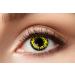 Eyecatcher 84065141-714 - Colored contact lenses 1 pair for 12 months yellow Halloween carnival werewolf