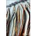 Grizzly Extensions Clip-In Feather Extensions | Natural & White for Brown Hair - Shop Now! - Buy Online on GoSupps.com