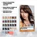 L'Oreal Paris Feria Smokey Silver Hair Color - 2 Pack Shimmering Permanent Dye - Buy Online on GoSupps.com