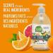 Seventh Generation Fresh Citrus Hand Wash - 12 Ounce (12 Fl Oz) - Buy Online on GoSupps.com