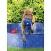 Buy Karlie Neoprene Dog Toy - Blue Octo (L: 33cm W: 33cm H: 15cm) | Durable & Fun International Shipping Available - Buy Online on GoSupps.com