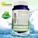 Max Strength Magnesium Citrate 833mg Supplement - 200 Vegan Capsules for Muscle, Heart & Bone Health - Boost Energy Levels - Buy Online on GoSupps.com