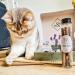 Buy Ne & No Gift Set with Natural Matatabi Sticks | 24 Dental Care Cat Sticks | Perfect Treats for Cats | International Shipping - Buy Online on GoSupps.com