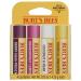 BURTS BEES Tropical Assortment Lip Balm 0.6 OZ