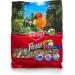 Kaytee Fiesta Conure Gourmet Diet - 4.5 lb Fortified Bird Food - Buy Online on GoSupps.com