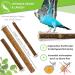 Buy 6 Natur Beckbagen for Budgies Canaries & Nymphensittich - Stainless Steel & Plastic-Free - Hand-Cut in the Alps! - Buy Online on GoSupps.com