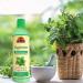 OKAY Peppermint Soothing & Invigorating Shampoo - 12oz / 355ml | Buy Internationally - Buy Online on GoSupps.com