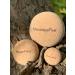 Massagefee Cork Ball Set 3 Natural Cork Massage Balls for Trigger Point & Fascia Relief - Ideal for Feet Calves Neck Shoulders & Back - International Shipping Available - Buy Online on GoSupps.com