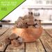 Raw Brazil Nuts In Shell - Whole Superior Quality (5 LB) - Fresh & Healthy Protein Snack - All Natural Keto Friendly & Vegan - 5 Pound Resealable Bulk Pack - Buy Online on GoSupps.com
