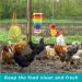 Woiworco Chicken Coop Accessories: 7 Pack Chicken Toys - Xylophone, Swing, Mirror, Pecking, Vegetable Feeder & More - Buy Online on GoSupps.com