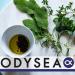 Odysea Balsamic Vinegar Spray 250ml - Authentic Italian Flavor in Convenient Spray Bottle - Buy Online on GoSupps.com