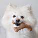 Benebone Real Bacon Wishbone Dog Chew Toy - Durable & Made in USA for Aggressive Chewers - Buy Online on GoSupps.com