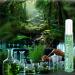 HM - Dry Mouth Flavoured Spray - Alcohol Free | Instantly Hydrate & Moisturize | pH Balanced | Promotes Saliva Production & Soothes | Pack of 4 x 0.33 oz 1.35 Oz  - Buy Online on GoSupps.com