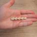 Crystal Pearl Barrettes Hair Clip Hair Pin Hairgrips Hair Accessories For Woman Girl Lady Wedding - Buy Online on GoSupps.com