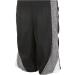 X Game Time Boys Active Mesh Shorts 4 Pack - Medium Athletic Performance Set - Buy Online on GoSupps.com