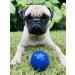 Tuff Pup Superchewy Tough Ball Toys for Dogs | Durable Natural Rubber | Best for Large Breeds | Ultra-Durable 2-Inch & 5-CM Options - Buy Online on GoSupps.com