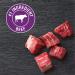 CESAR CLASSICS Filet Mignon Wet Dog Food 3.5 oz, Pack of 24 - Buy Online on GoSupps.com
