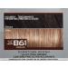 L'Oreal Paris Feria B61 Downtown Brown Hi-Lift Cool Brown Hair Color - Pack of 1 - Buy Online on GoSupps.com