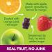 Fruily Organic Elderberry Gummies for Kids - Immune Support with Vitamins C, D & Zinc - 50 Count - Buy Online on GoSupps.com