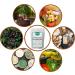 Potassium Bicarbonate (100g) | Packed in Canada| Leavening Agent Acid Reduction Powder| Used for Winemaking Baking and Plants| by Elo s Premium - Buy Online on GoSupps.com