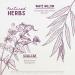 Buy WishGarden Herbs Cranial Comfort - Plant-Based Herbal Supplement for Head Neck & Shoulder Relief with White Willow Bark Lavender & Skullcap - 2oz Pump - Buy Online on GoSupps.com