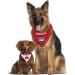 Georgia Bulldogs Reversible Bandana | Pets First Collegiate Pet Accessories | Large/X-Large - Buy Online on GoSupps.com