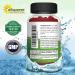 Saffron Gummies - Pure Saffron Extract Supplement | Gummy Alternative to Capsules, Pills, Powder & Tea - Buy Online on GoSupps.com