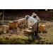 Organic Raw Forest Honey 1000g | Pure Unheated Natural Beekeeping with Pollen & Beeswax - International Shipping Available - Buy Online on GoSupps.com