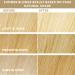 Smart Beauty Golden Blonde Hair Dye with Plex Technology - Vegan & Cruelty-Free Permanent Colour for Summer Blonde - Buy Online on GoSupps.com