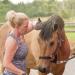 Pure Lab Vitamins Equine Magnesium Glycinate Powder - 454 g Made in Canada - Buy Online on GoSupps.com