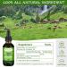 Chlorophyll Liquid Drops - 2 Pack for Energy Boost & Immune Support | Natural Detox & Internal Deodorant - Buy Online on GoSupps.com